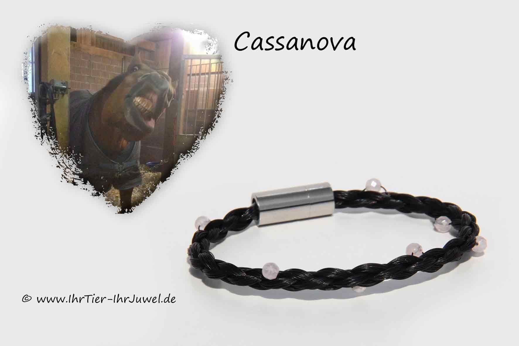 Erinnerung an geliebtes Pferd Armband mit Schweifhaaren