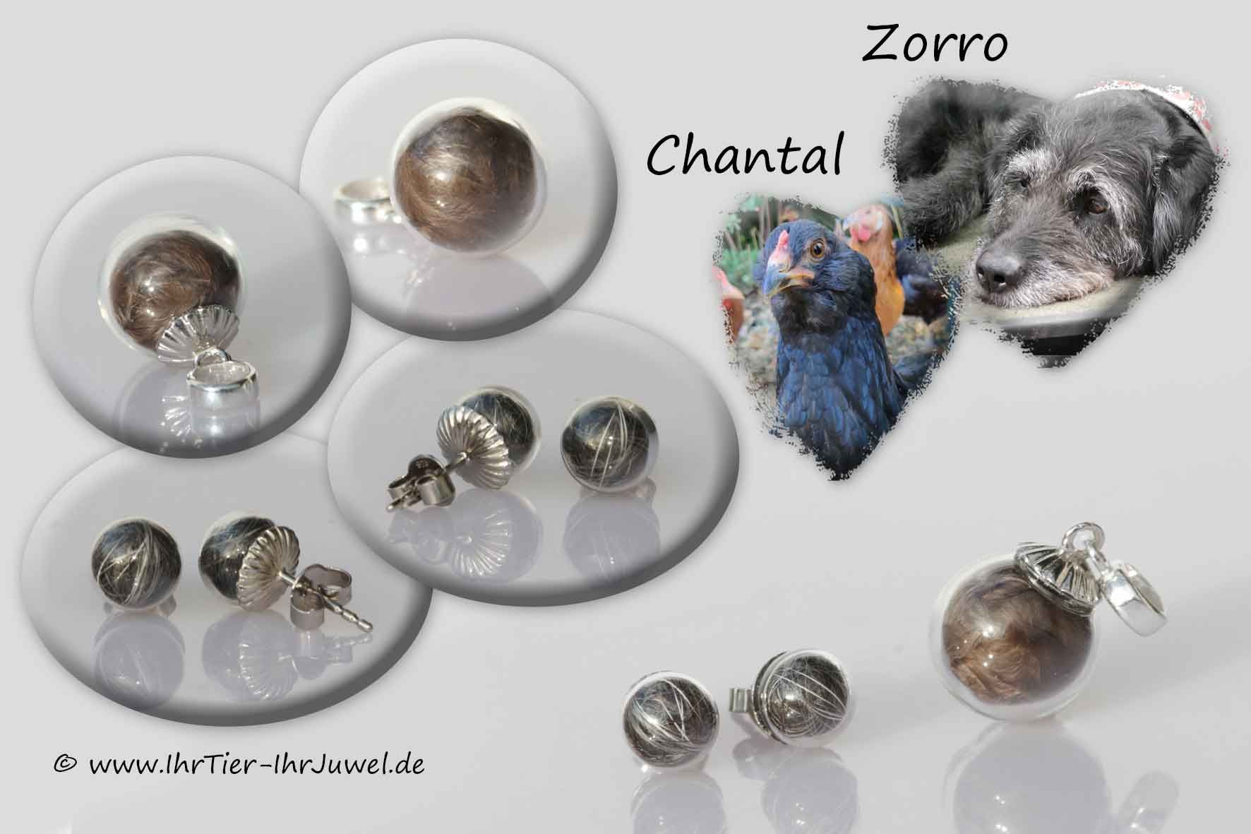 Erinnerung an geliebtes Tier Erinnerungsschmuck Tierjuwelen