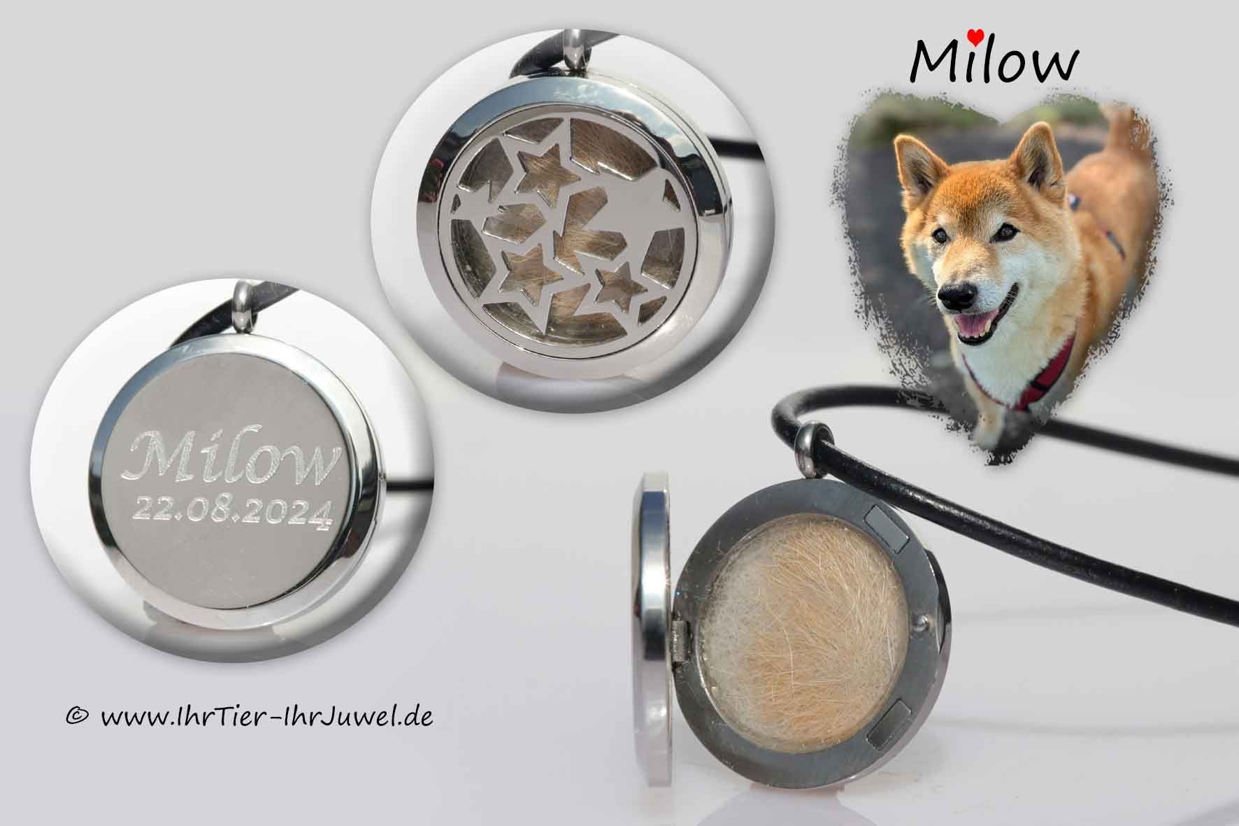 Erinnerung an geliebtes Tier Hundehaarschmuck Sternenschmuck