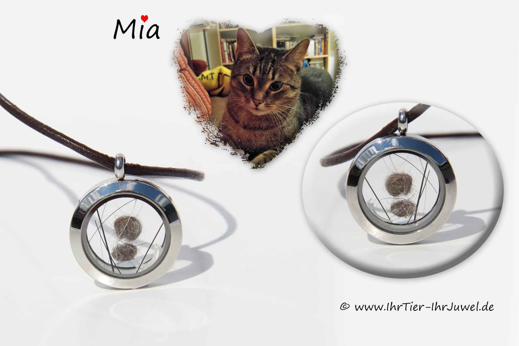 Erinnerung an verstorbene Katze Fellandenken Tierjuwelen