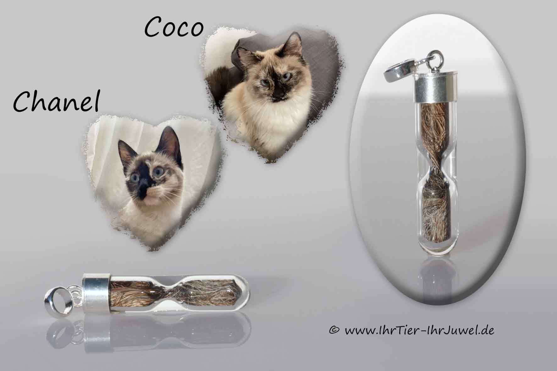 Erinnerung an verstorbene Tiere Sanduhrenglas Tierhaarschmuck