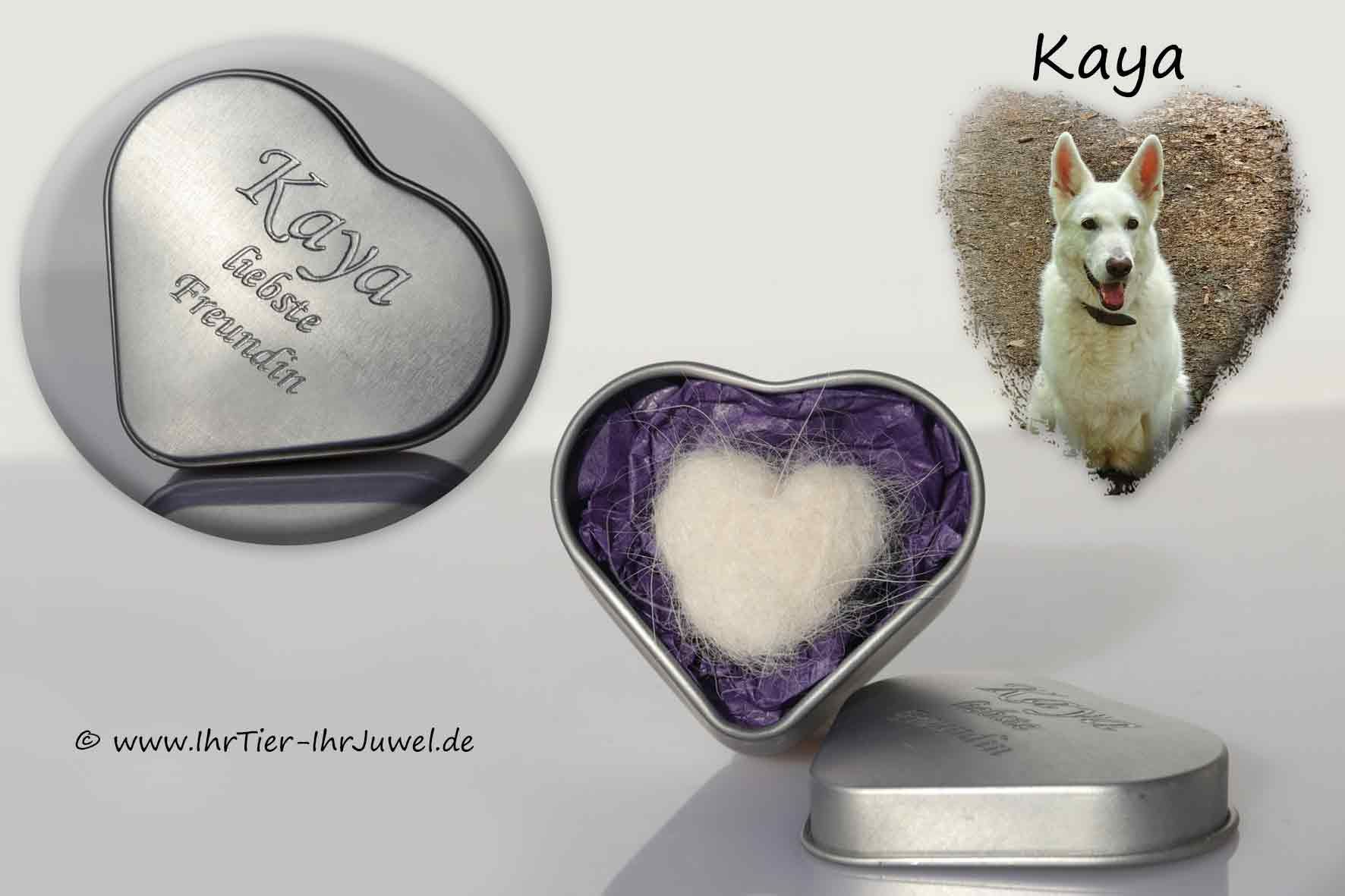 Erinnerung an verstorbenen Hund Fellherz Gravurschachtel