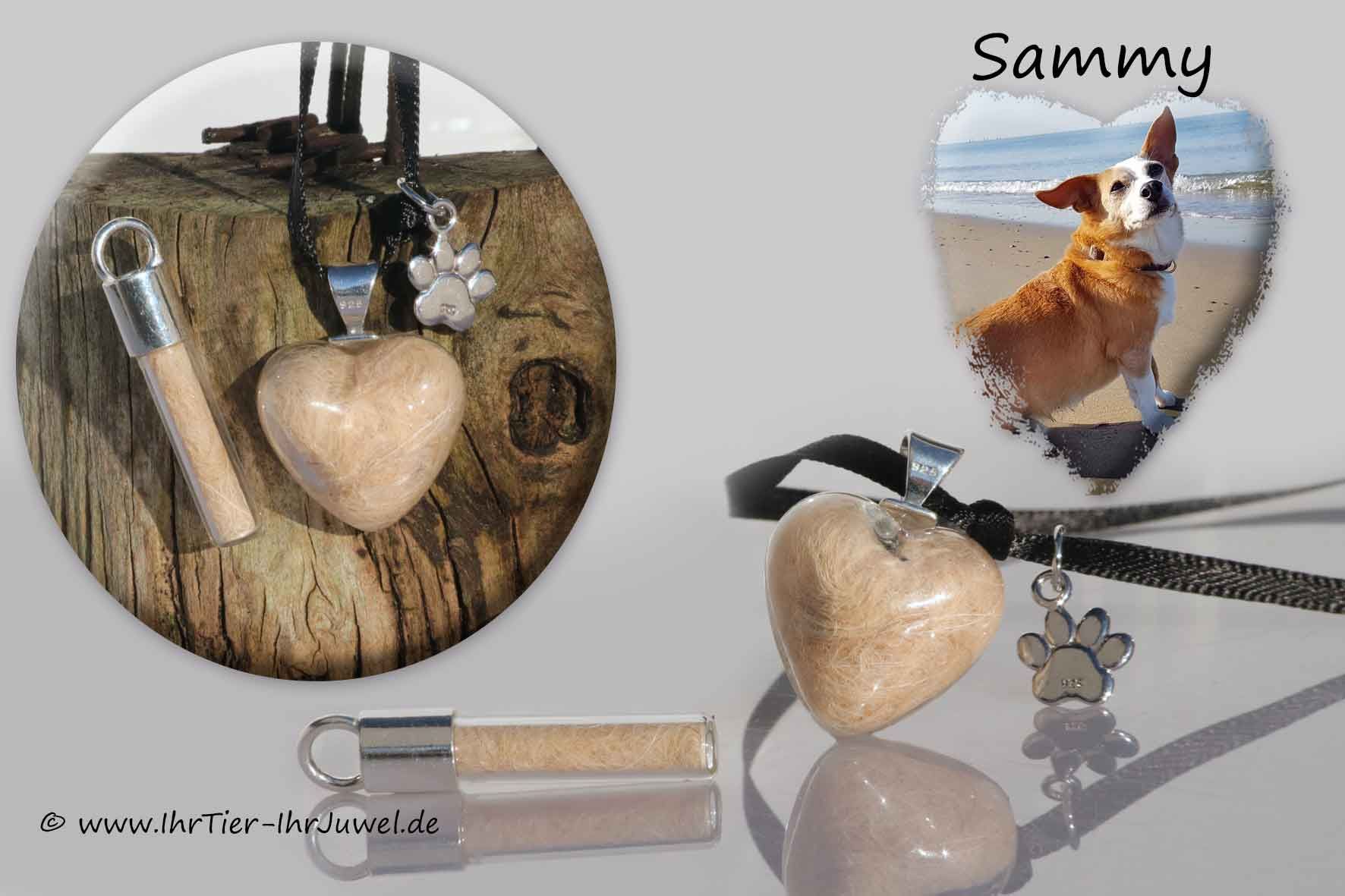 Erinnerung an verstorbenen Hund Schmuck Hundehaare