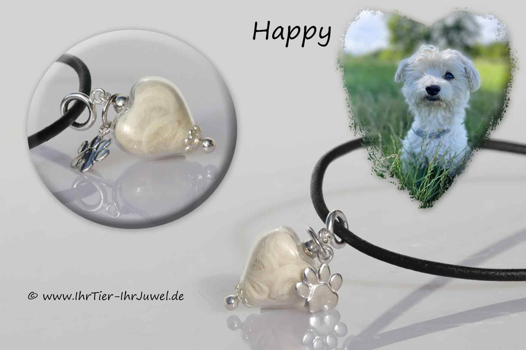 Erinnerung an verstorbenen Hund Schmuck Hundehaare