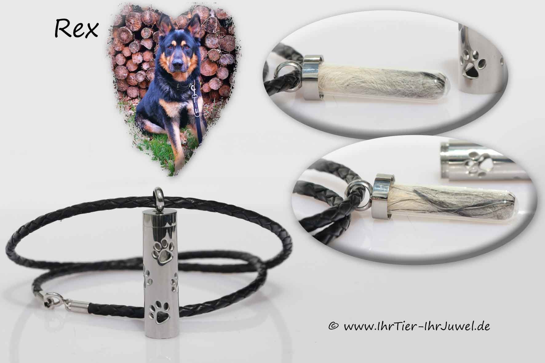 Erinnerung an verstorbenen Hund Tierhaarschmuck Fellandenken