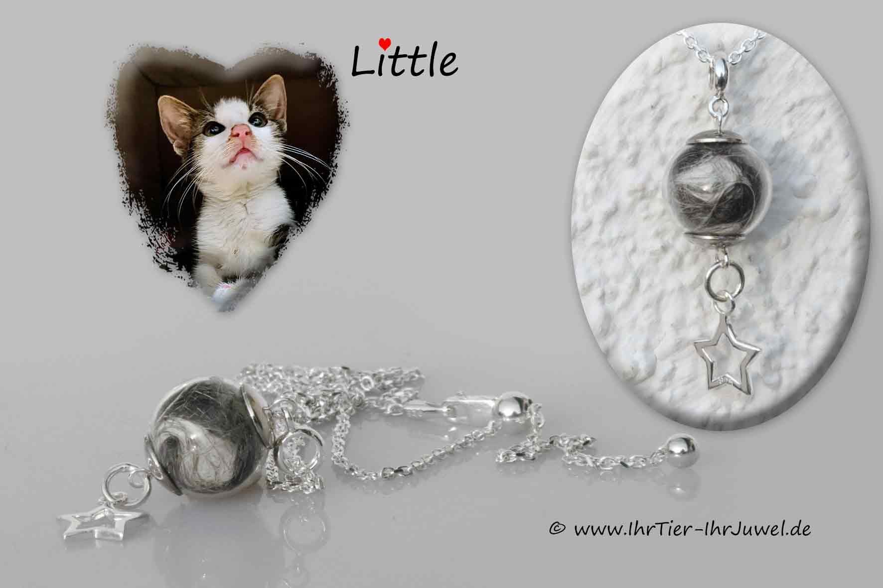 Erinnerung an verstorbenes Haustier Fellandenken Tierhaarschmuck