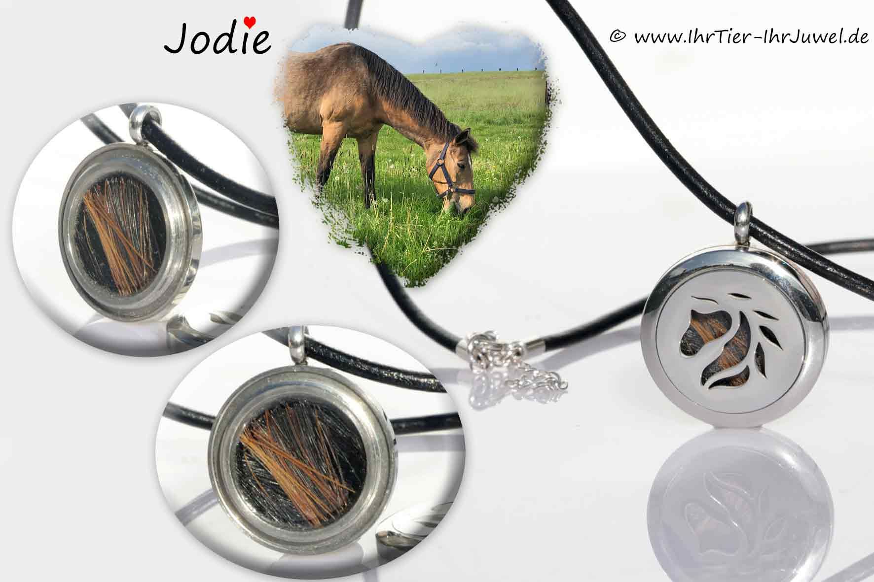 Erinnerung an verstorbenes Pferd Medaillonschmuck Pferdehaarschmuck
