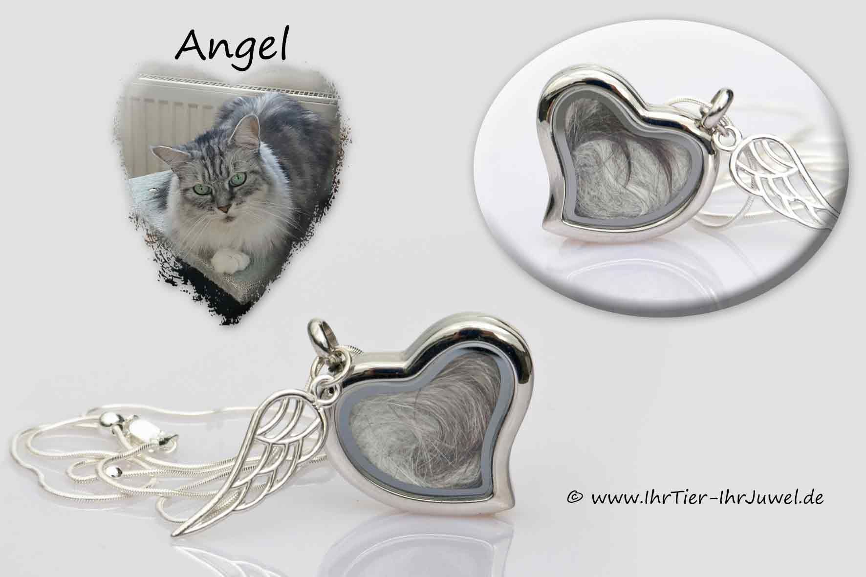 Erinnerung an verstorbenes Tier Herzmedaillon Tierhaare