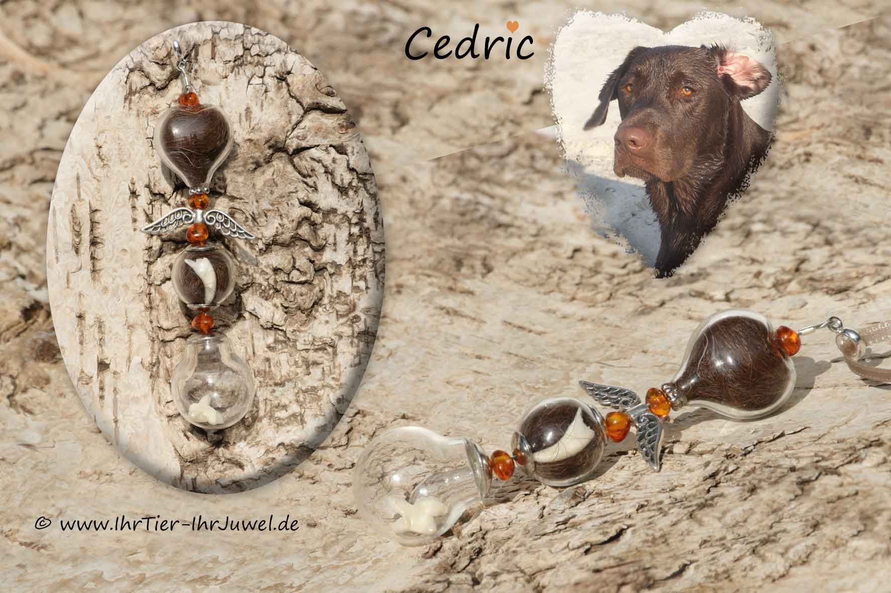 Erinnerung an verstorbenes Tier Urnenanhänger Tierurne