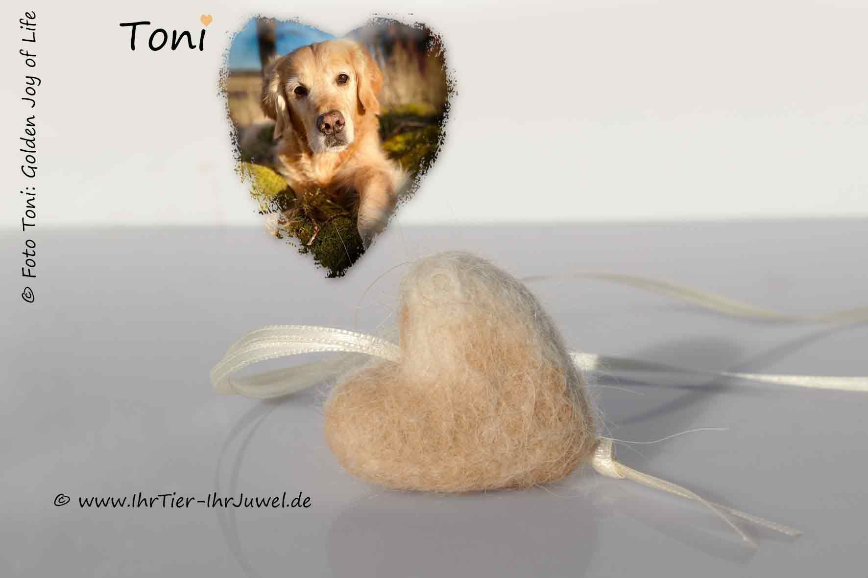 Erinnerungen aus Tierhaaren Fellherz aus Hundehaaren