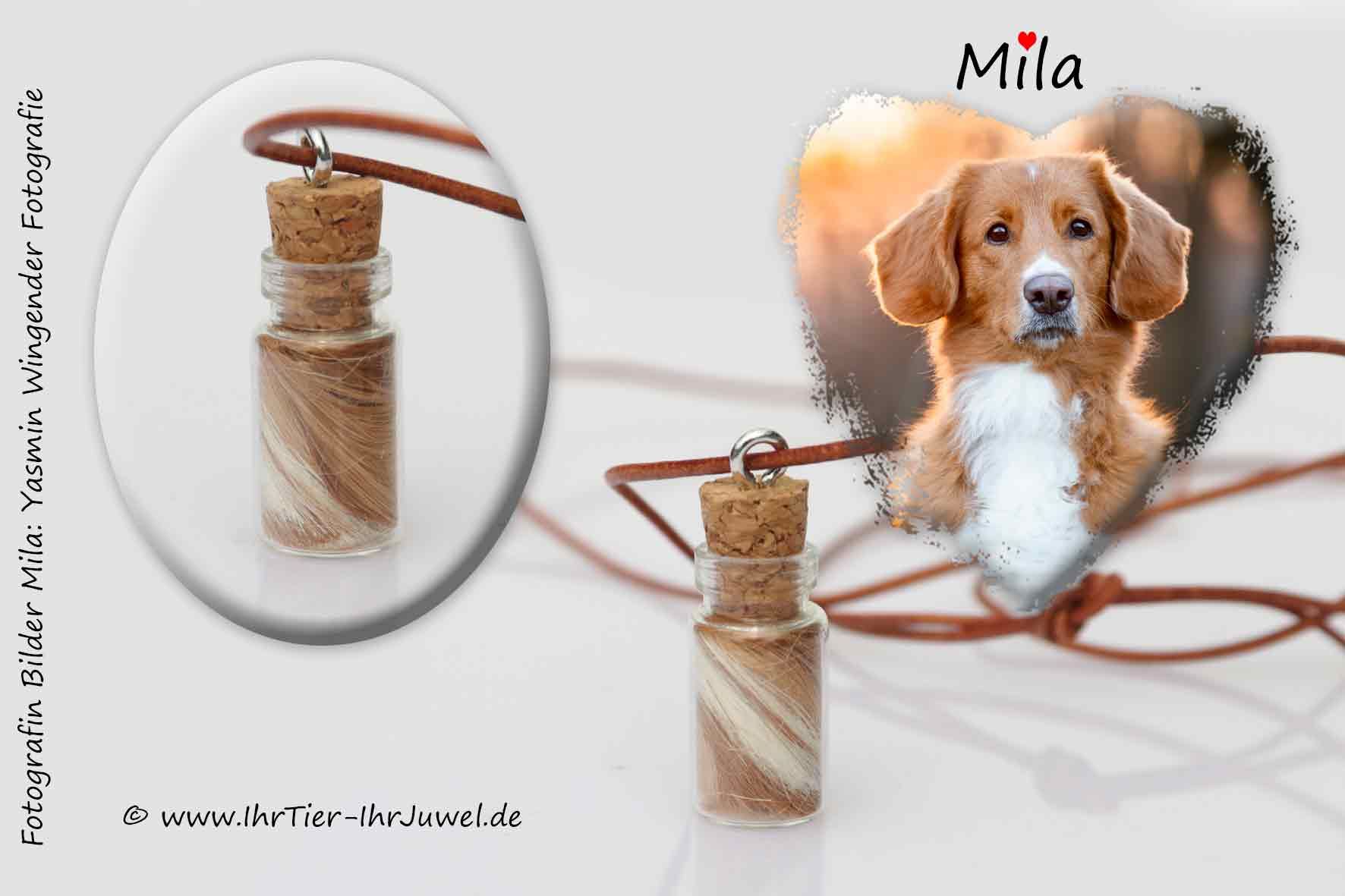 Erinnerungsschmuck Anhaenger mit Hundehaaren Fellandenken