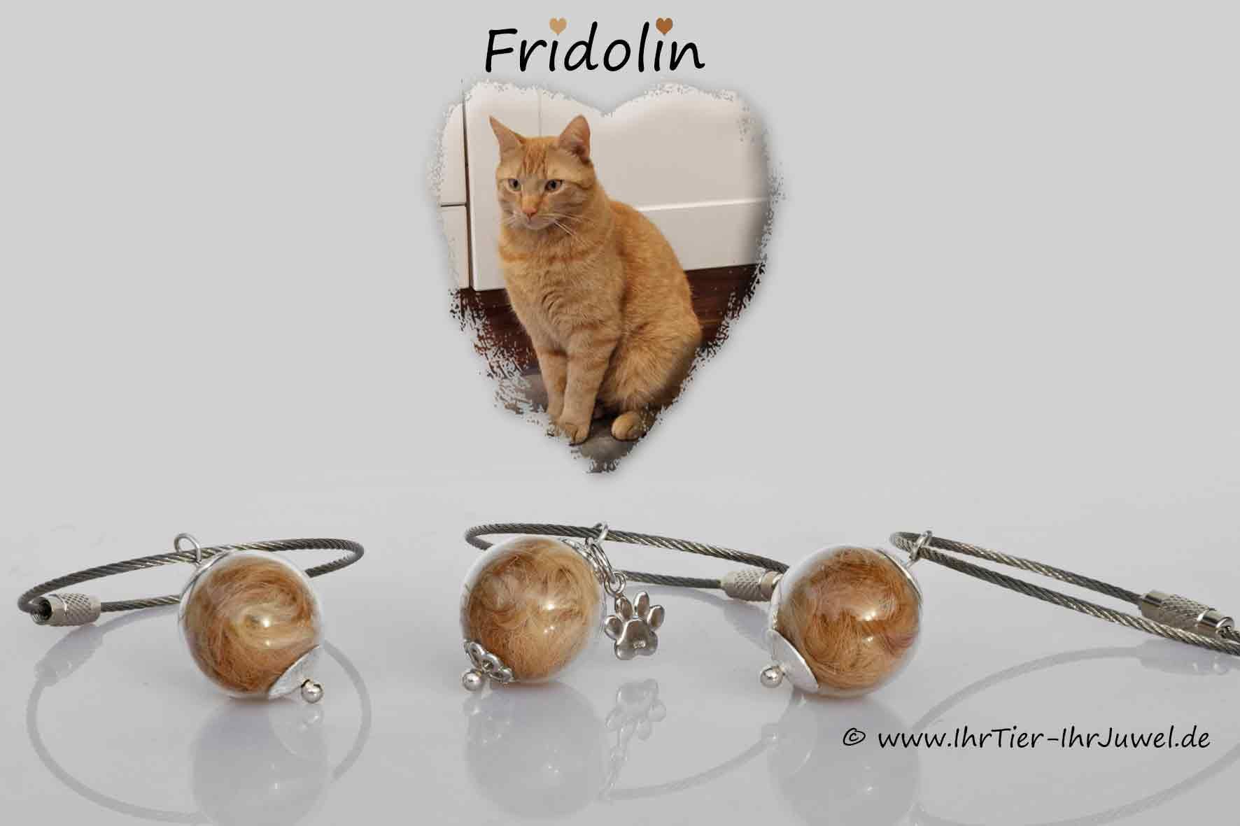 Erinnerungsschmuck Anhaenger mit Katzenhaaren geliebte Katze