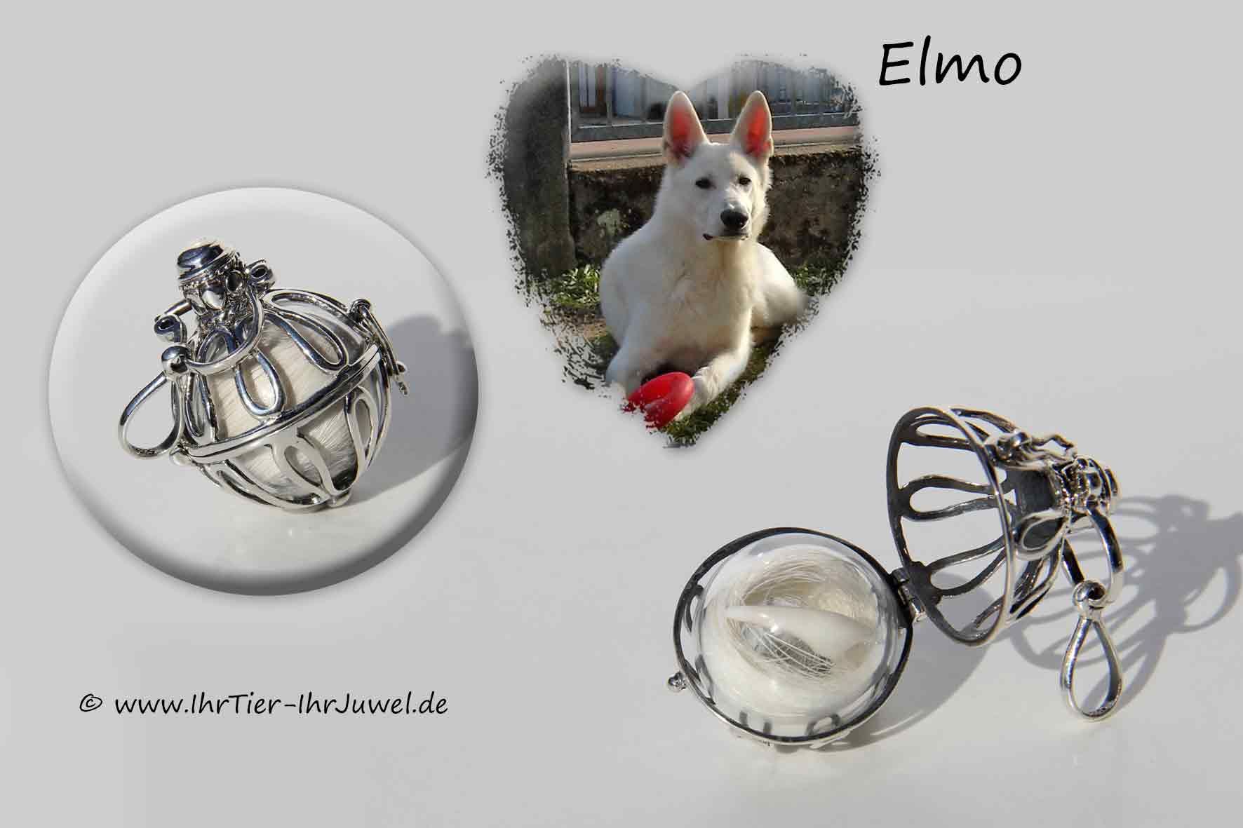 Erinnerungsschmuck Hund Engelsflüsterer Hundezähnchen und Hundehaare