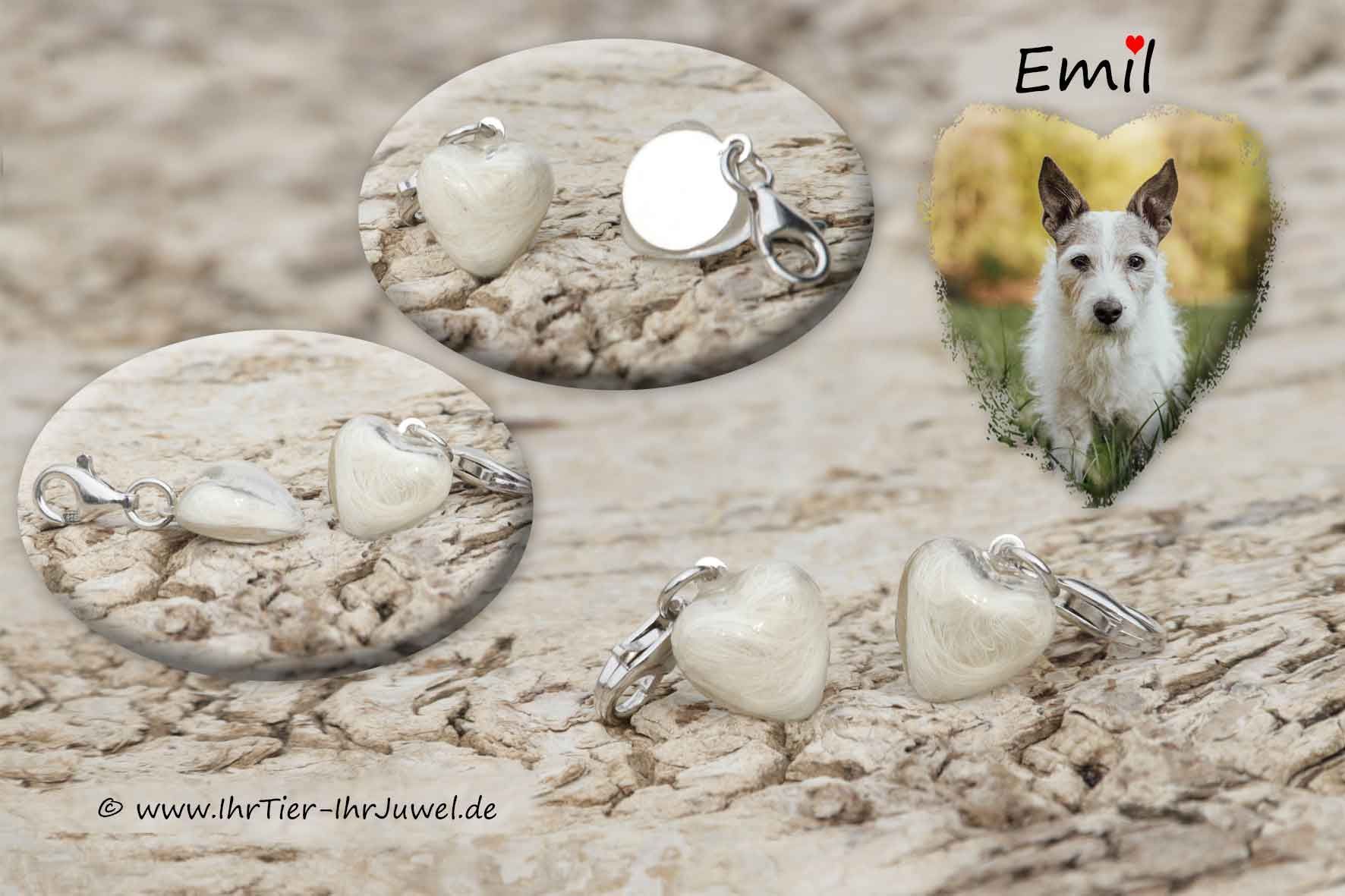 Erinnerungsschmuck Hund Fellandenken Schmuck mit Hundehaaren