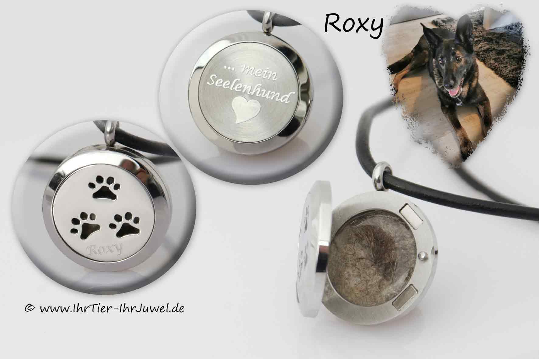 Erinnerungsschmuck Medaillon mit Hundehaaren Gravurschmuck Seelenhund