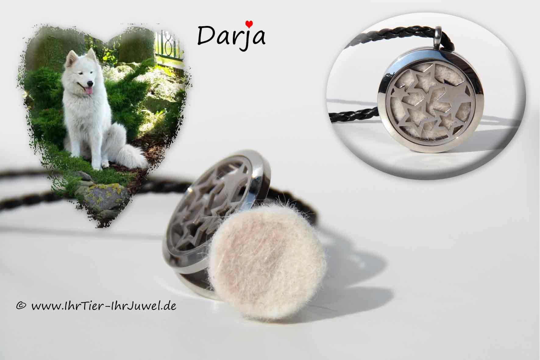 Erinnerungsschmuck Medaillon mit Hundehaaren Sternenschmuck Fellandenken