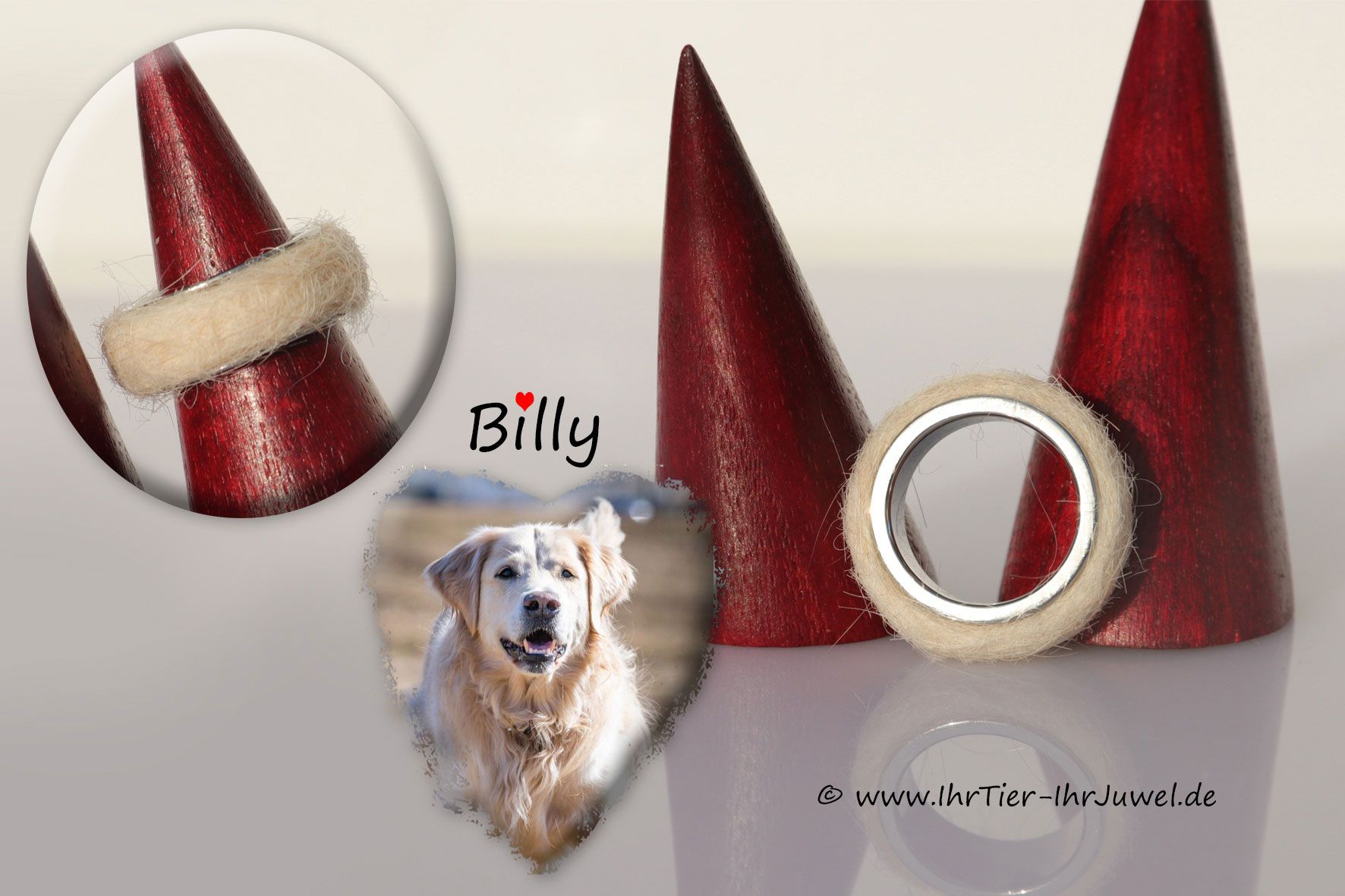 Tierhaarkunst Infinity Edelstahlring für Hundefreunde
