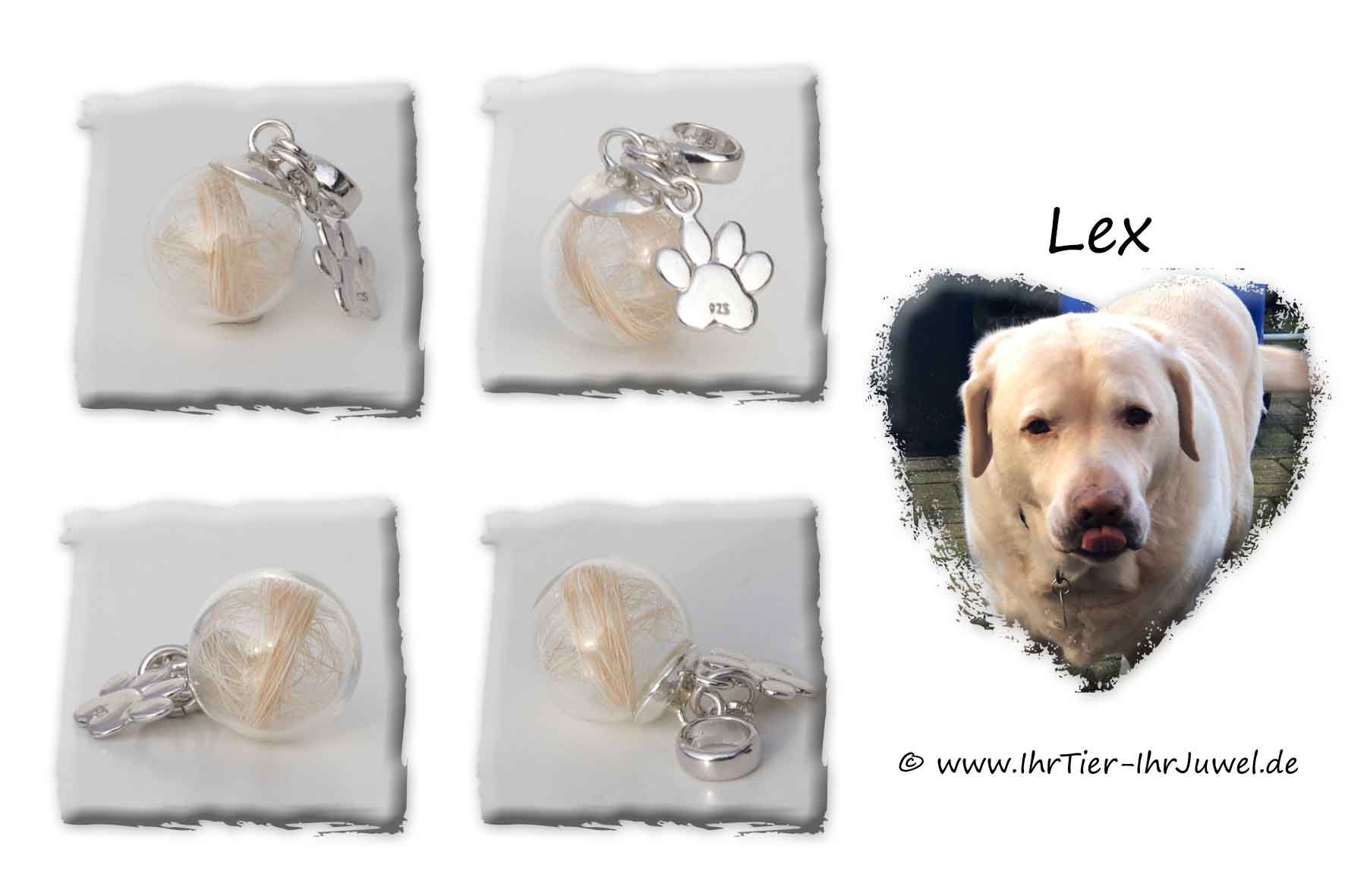Erinnerungsschmuck Schmuck mit Hundehaaren Pfotenschmuck Fellandenken