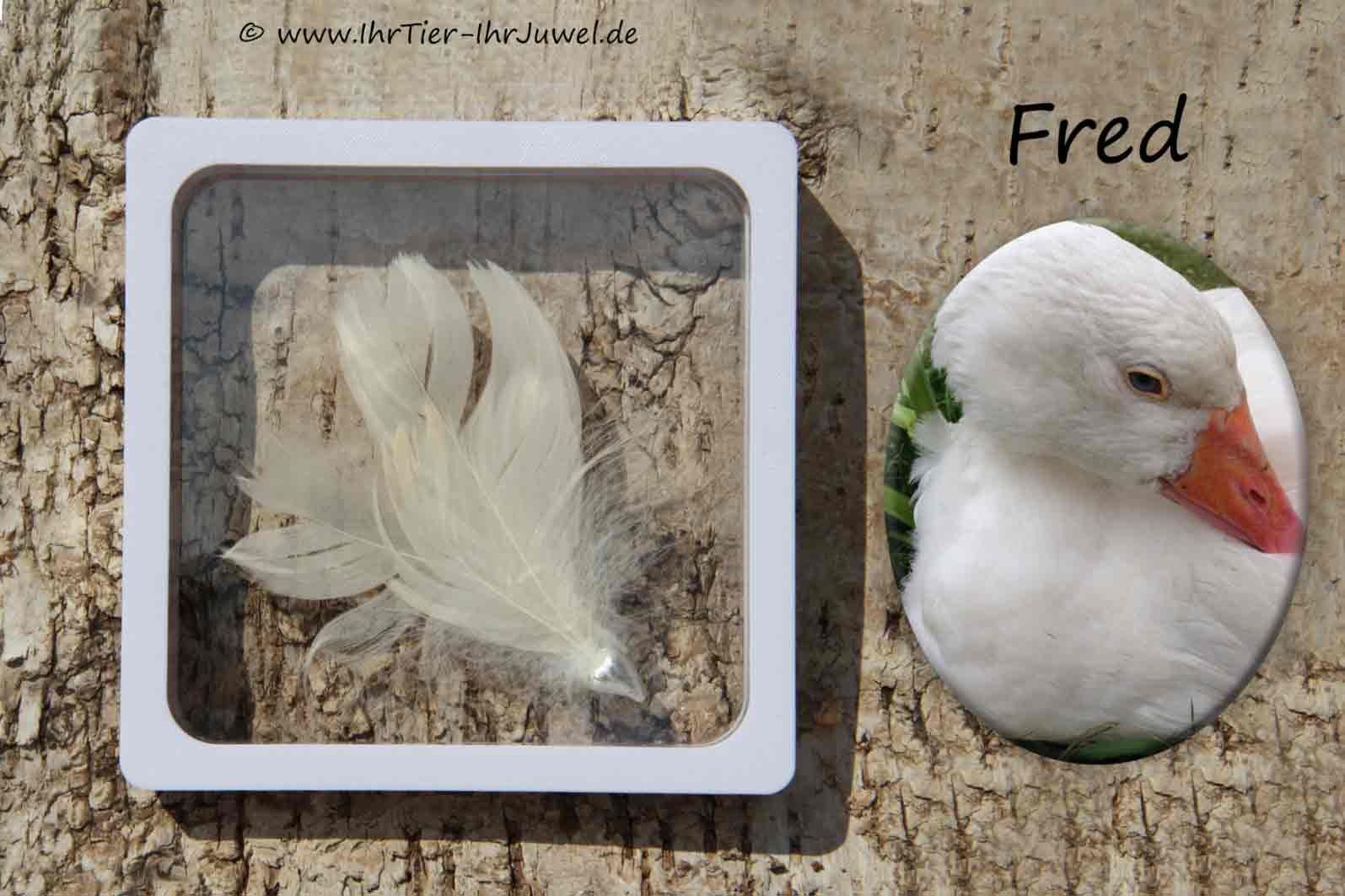 Erinnerungsschmuck Schweberahmen Federnschmuck Andenken mit Federn