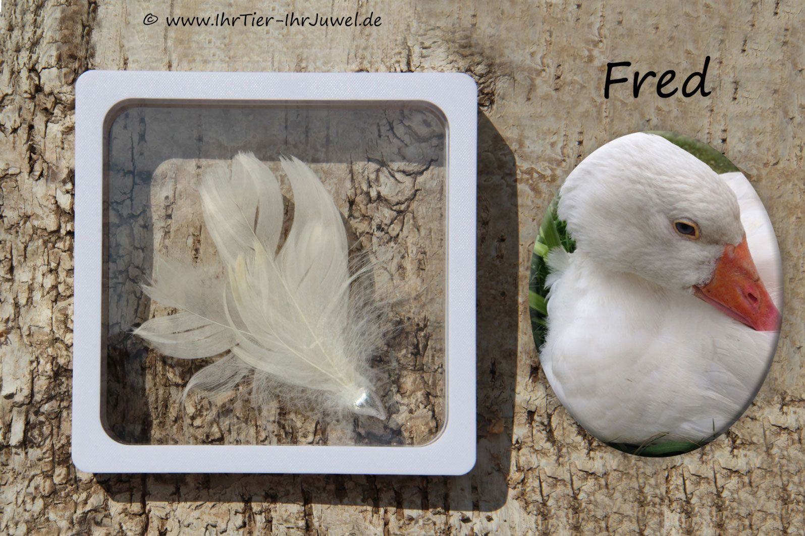 Erinnerungsschmuck Schweberahmen Federnschmuck Tierjuwelen