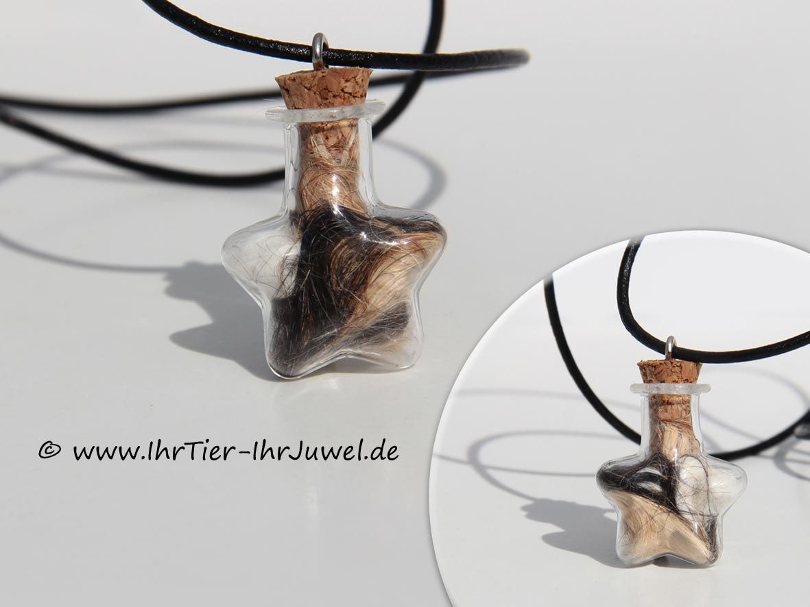 Erinnerungsschmuck Sternenanhänger Glasstern Schmuck mit Hundehaaren