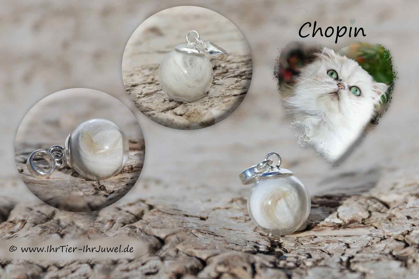 Erinnerungsschmuck geliebte Katze Kettenanhänger mit Tierhaaren