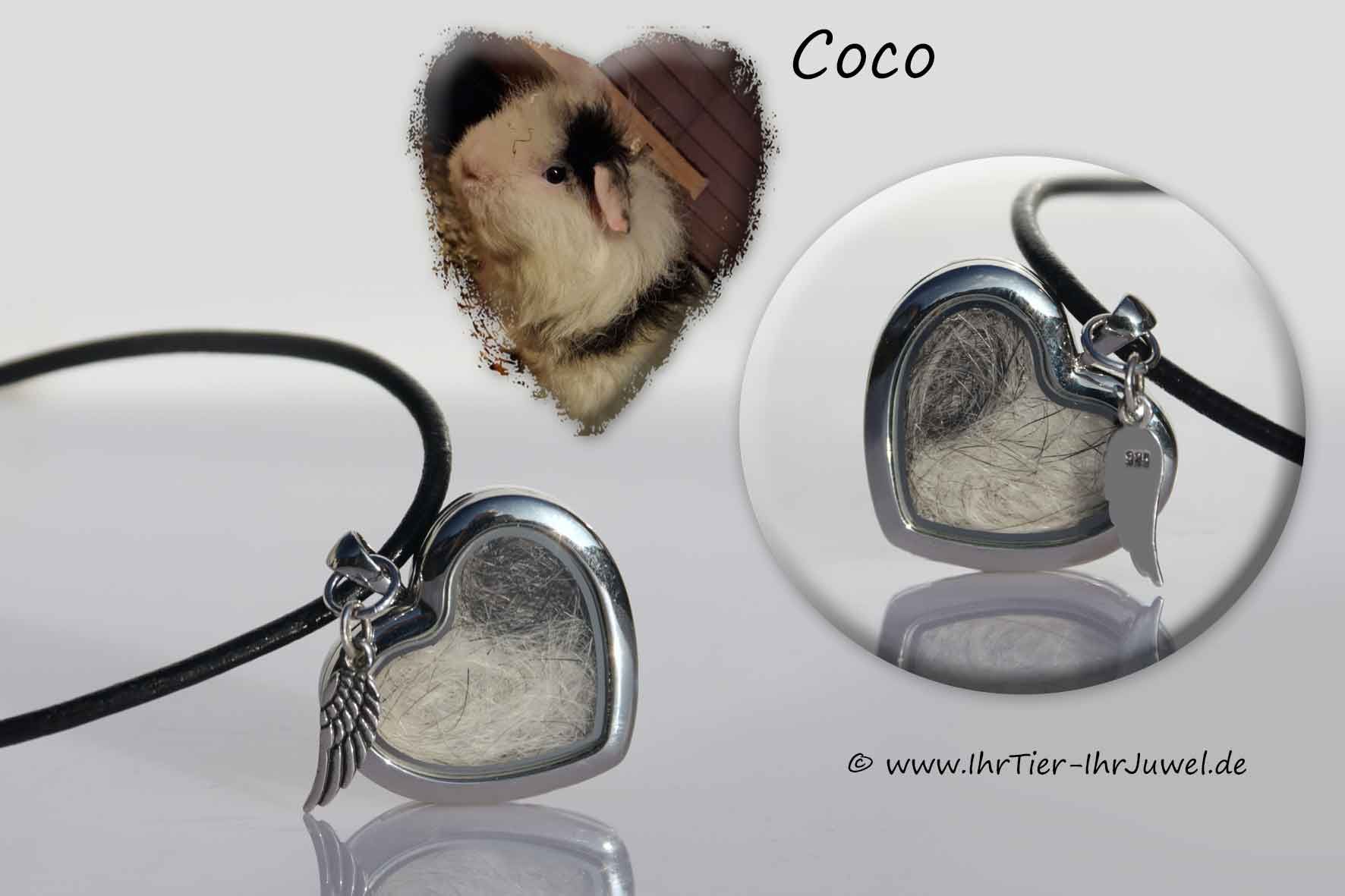Erinnerungsschmuck geliebtes Meerschweinchen Herz mit Tierhaaren