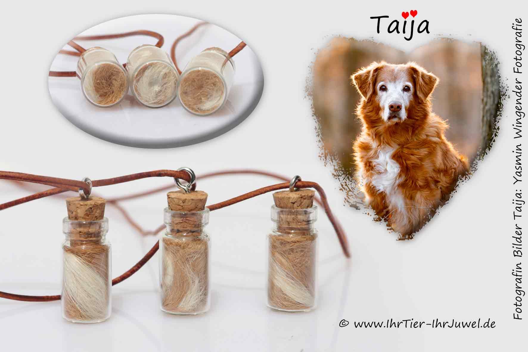 Gedenken an verstorbenen Hund Fellandenken Tierhaarschmuck