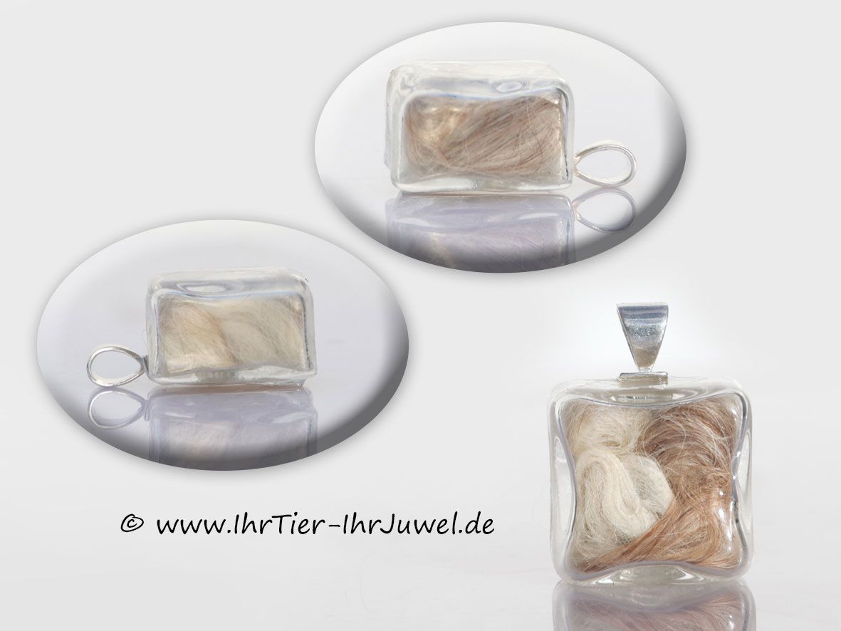 Tierhaarschmuck Glaswürfel mit Hundehaaren Erinnerungsschmuck Fellschmuck