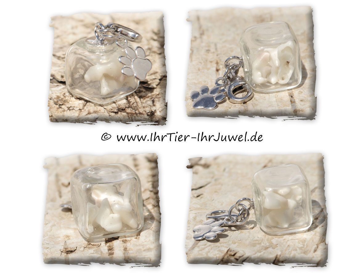 Tierhaarschmuck Glaswürfel mit Hundezähnchen Pfotenschmuck Zähnchenschmuck