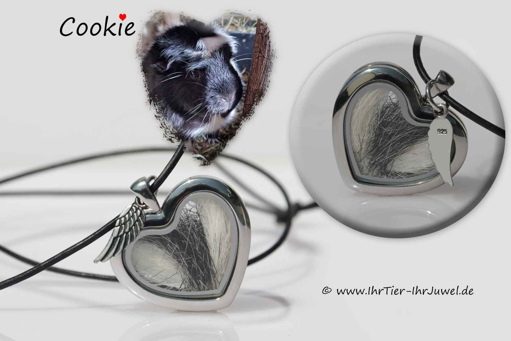 Herz mit Tierhaaren Erinnerungsschmuck geliebtes Meerschweinchen