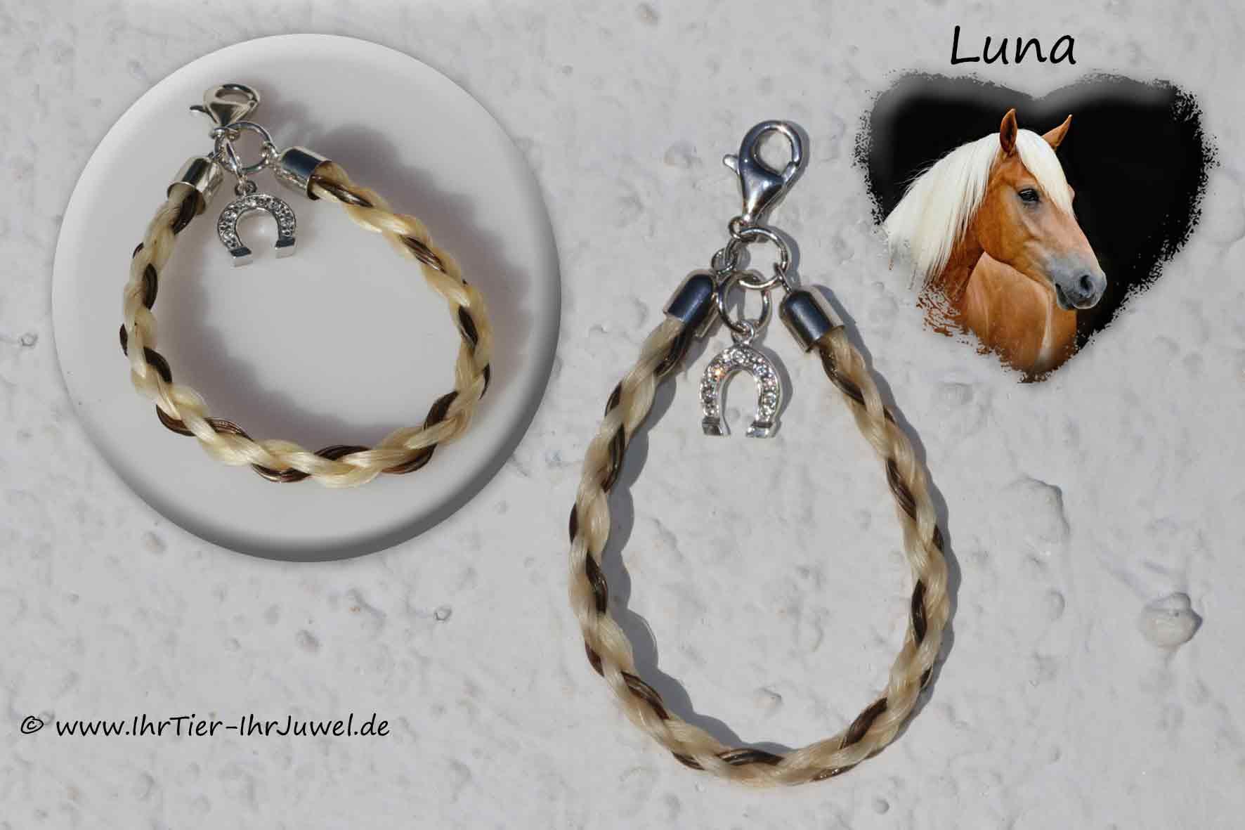 Hund und Pferd Anhänger mit Tierhaaren