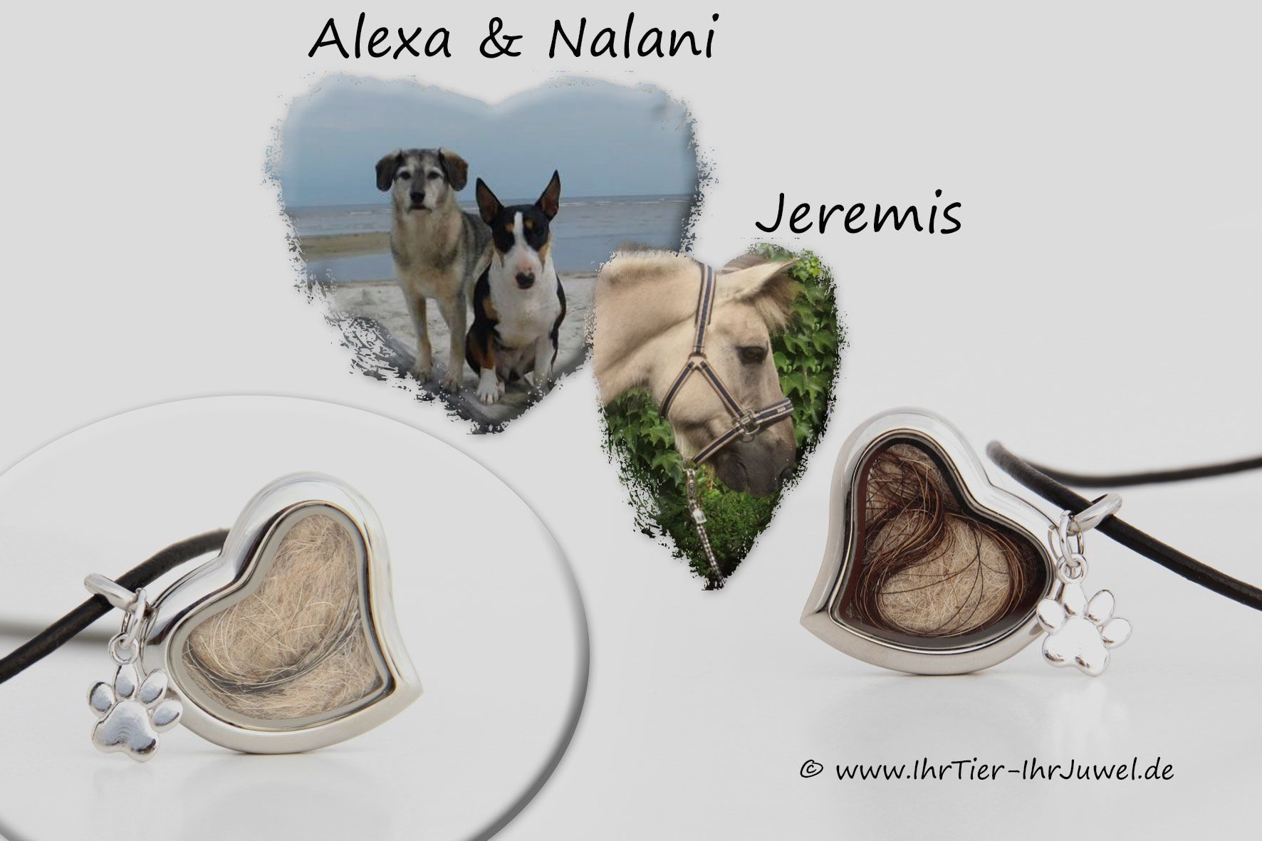 Hund und Pferd Herzmedaillon mit Tierhaar