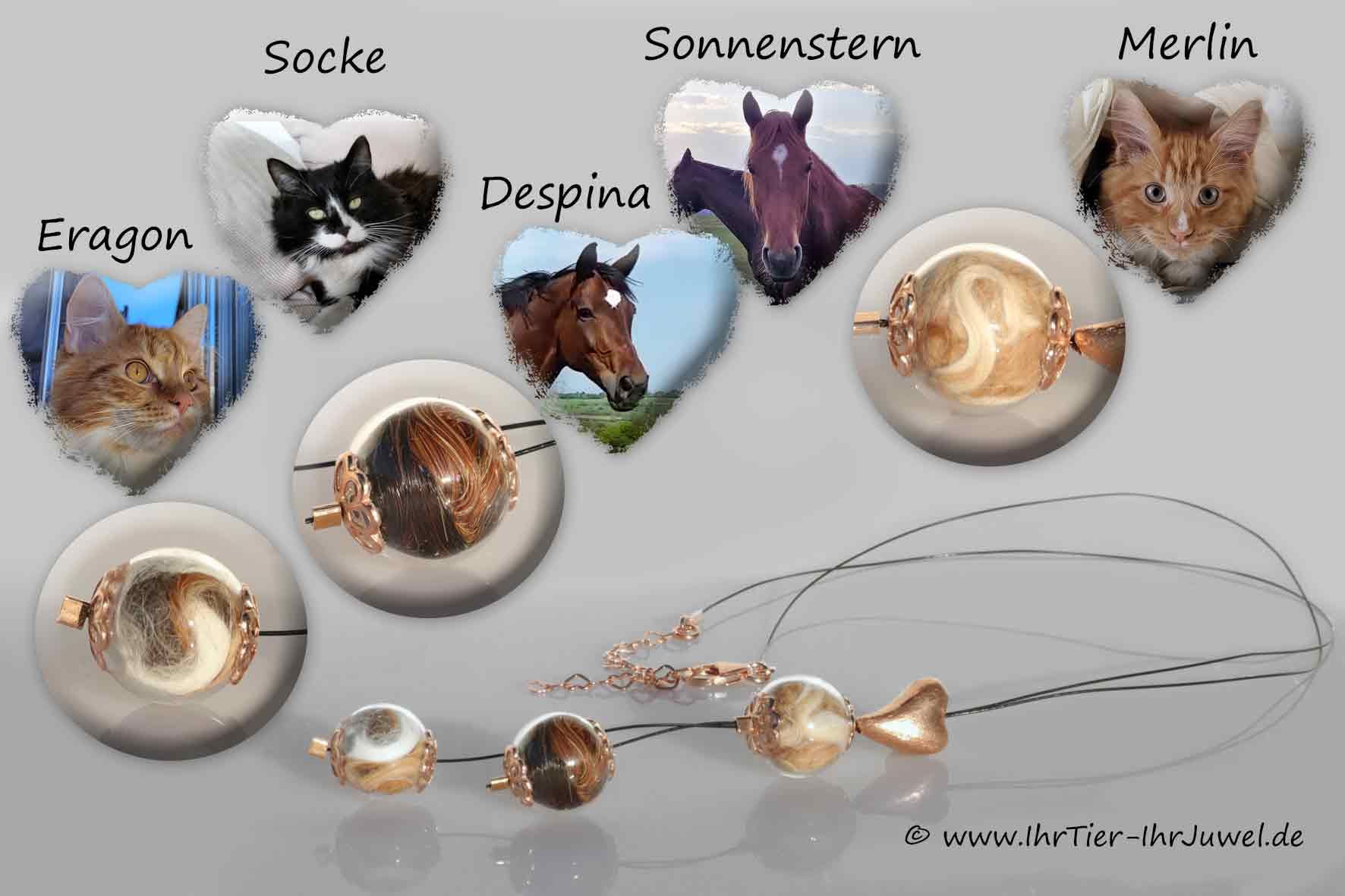 Kette mit Tierhaaren Pferd und Katze