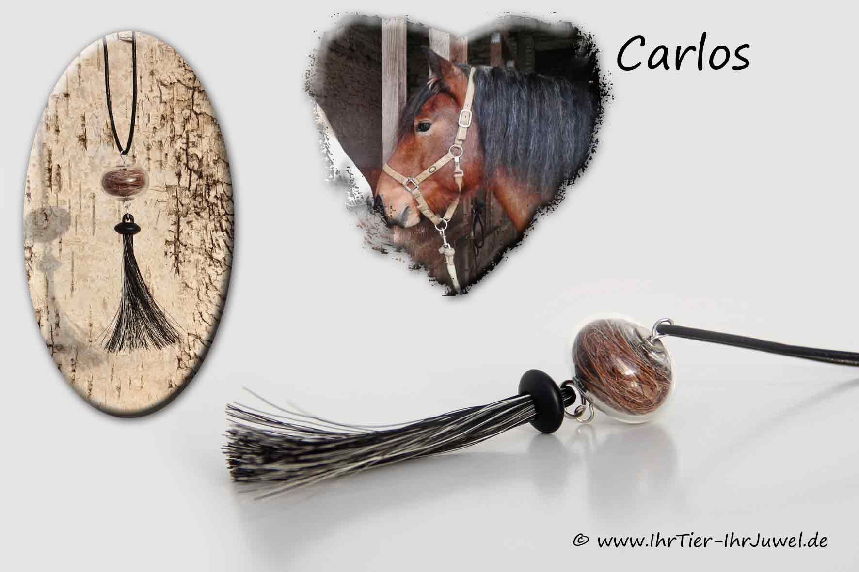 Pferdehaarschmuck Anhänger aus Pferdehaaren Equistrian Pferdeliebe