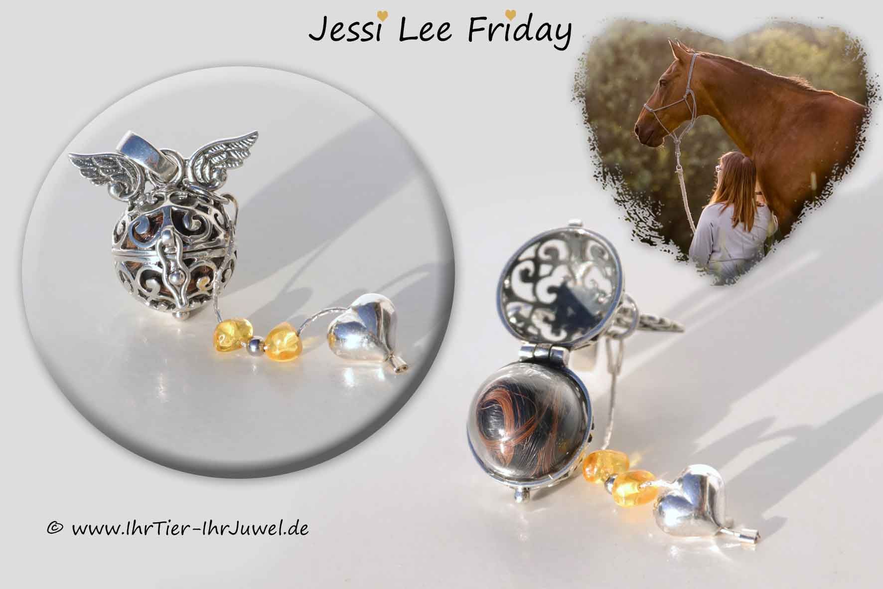 Pferdehaarschmuck Erinnerung an verstorbenes Pferd