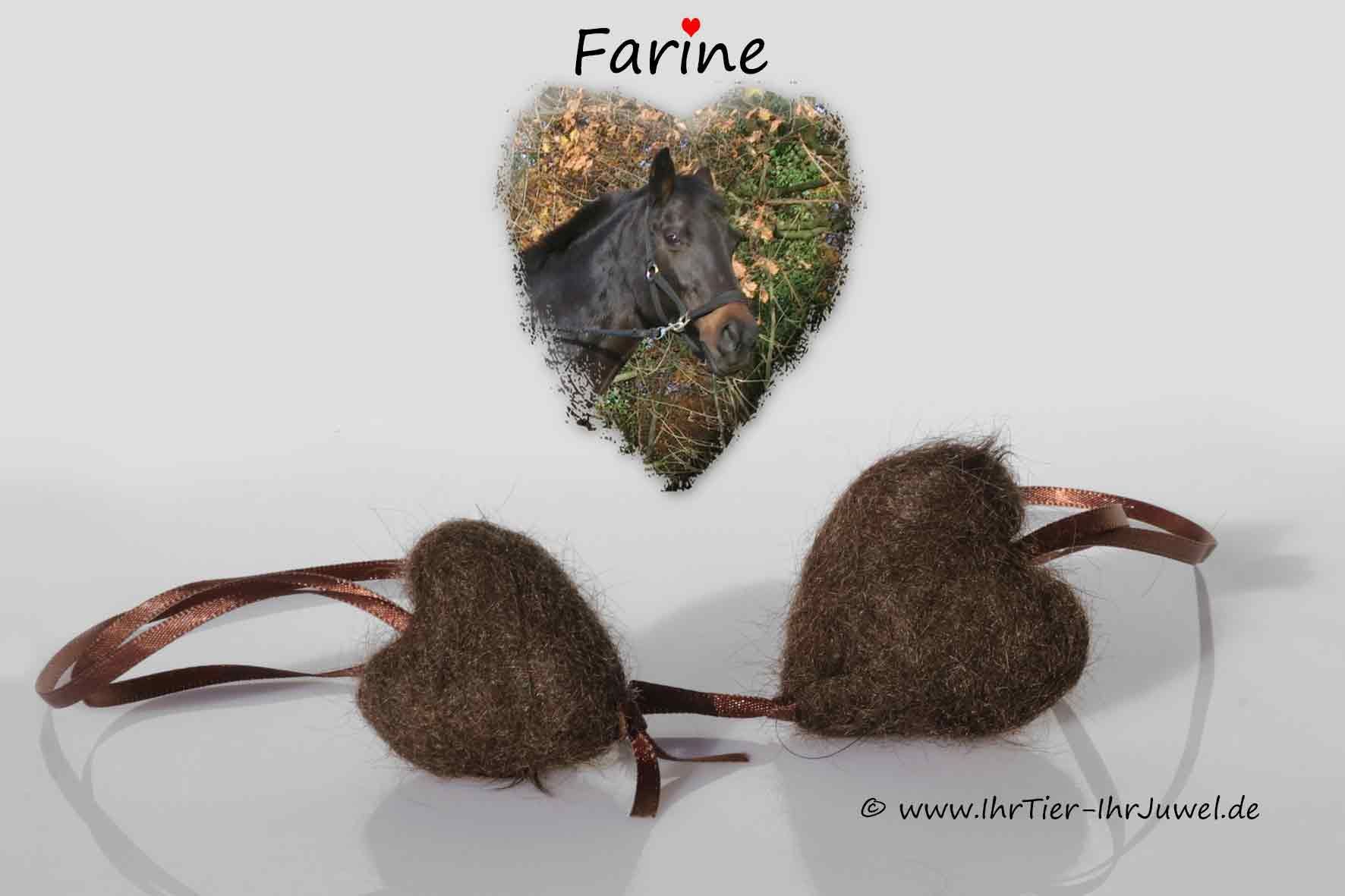 Pferdehaarschmuck Fellherzen aus Pferdehaaren geliebtes Pferd