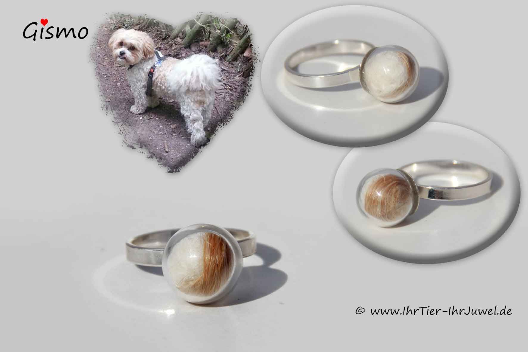 Ring mit Hundehaaren Tierhaarschmuck Felljuwelen Erinnerungsschmuck