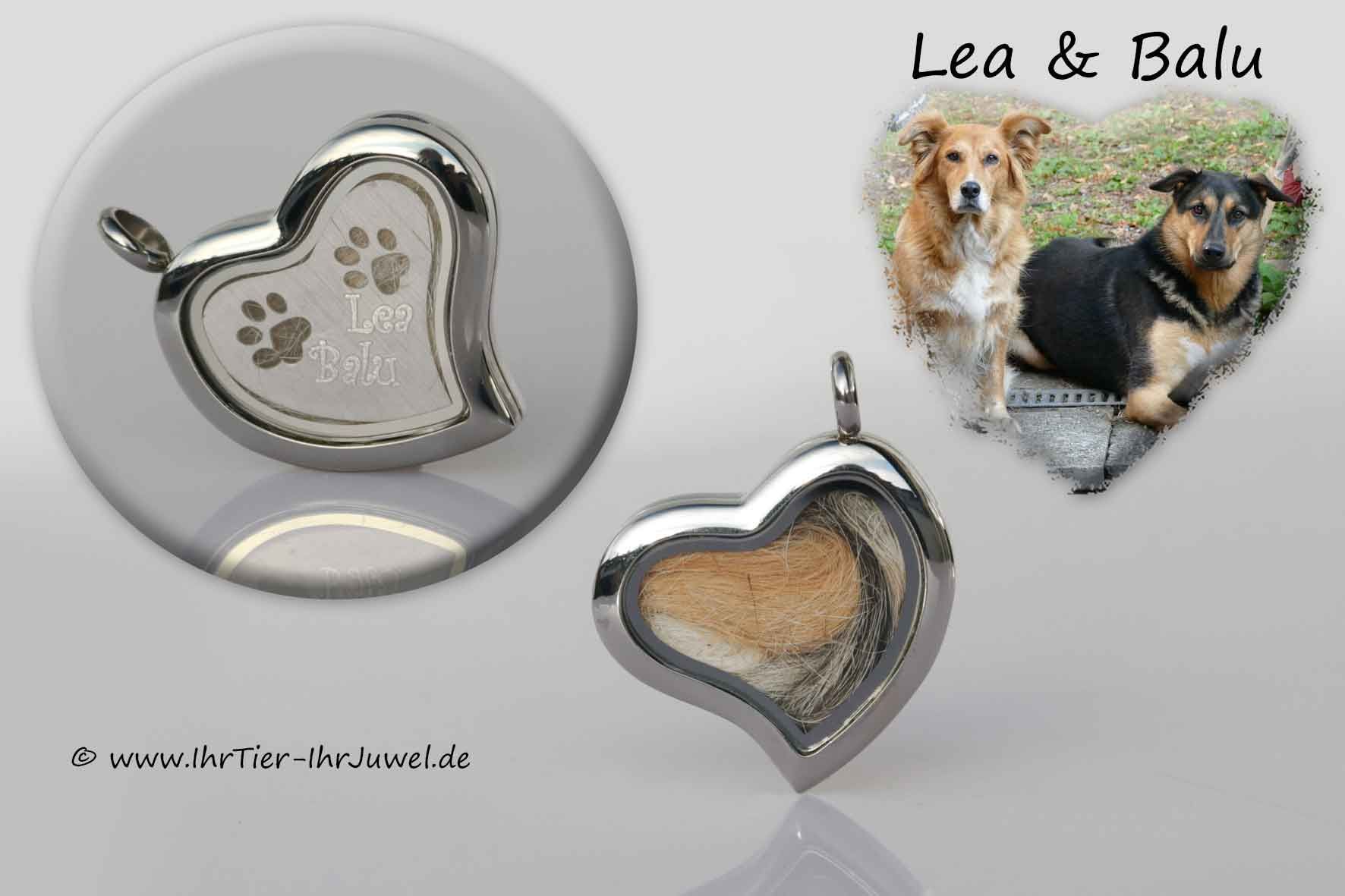 Schmuck Hundehaare Medaillon Tierhaare Gravurschmuck Tier