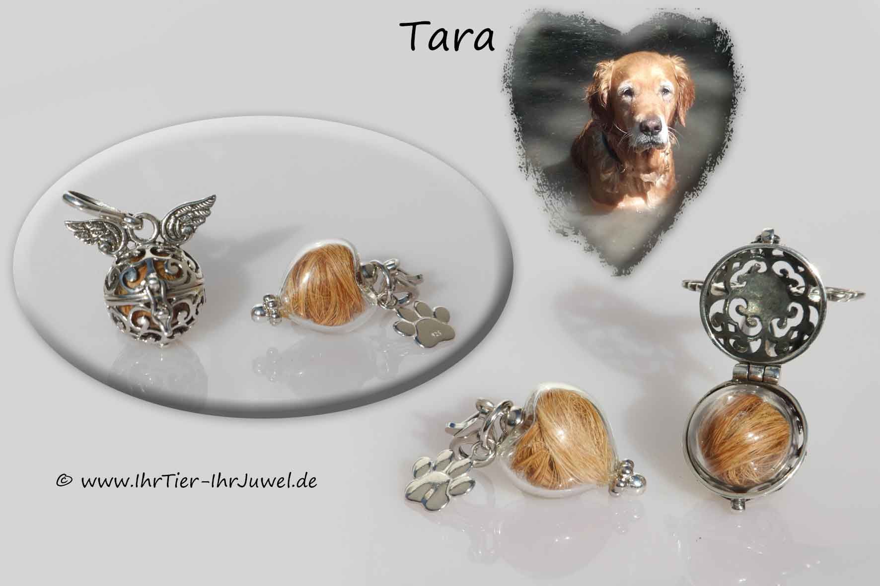 Schmuck aus Hundehaar Herzschmuck Flügelschmuck Pfotenschmuck