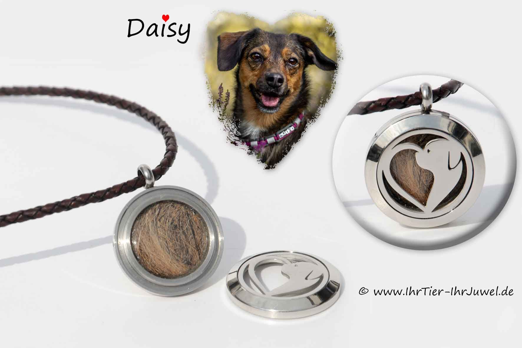 Schmuck aus Hundehaar Medaillon geliebter Hund