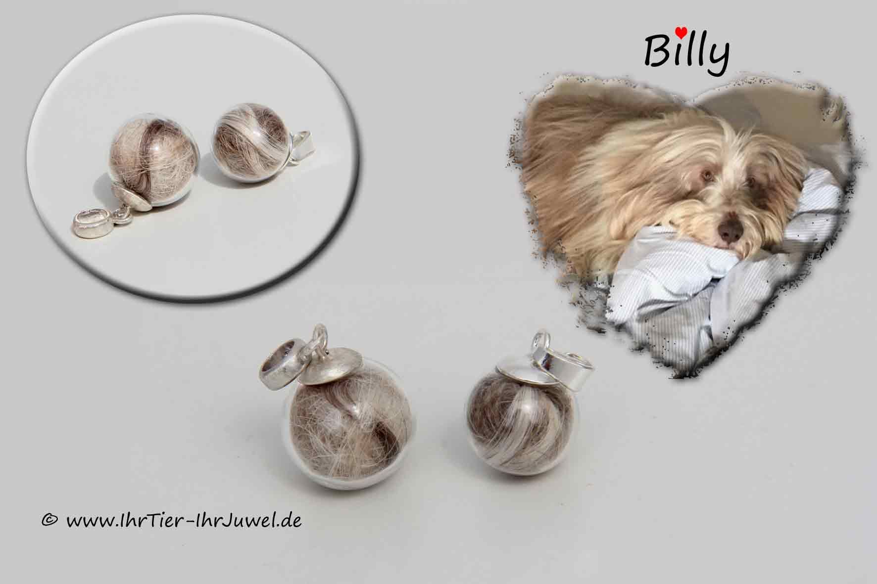 Schmuck aus Hundehaaren Erinnerungsschmuck Fellandenken Hundehaarschmuck