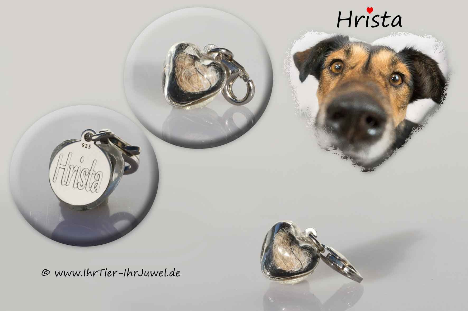 Schmuck aus Hundehaaren Glasherzchen mit Tierhaaren
