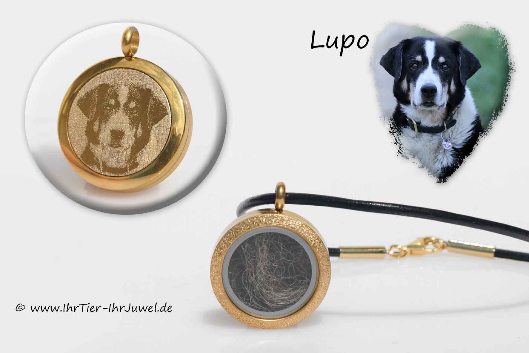 Schmuck aus Hundehaaren Medaillon Fotogravur Tierhaarschmuck