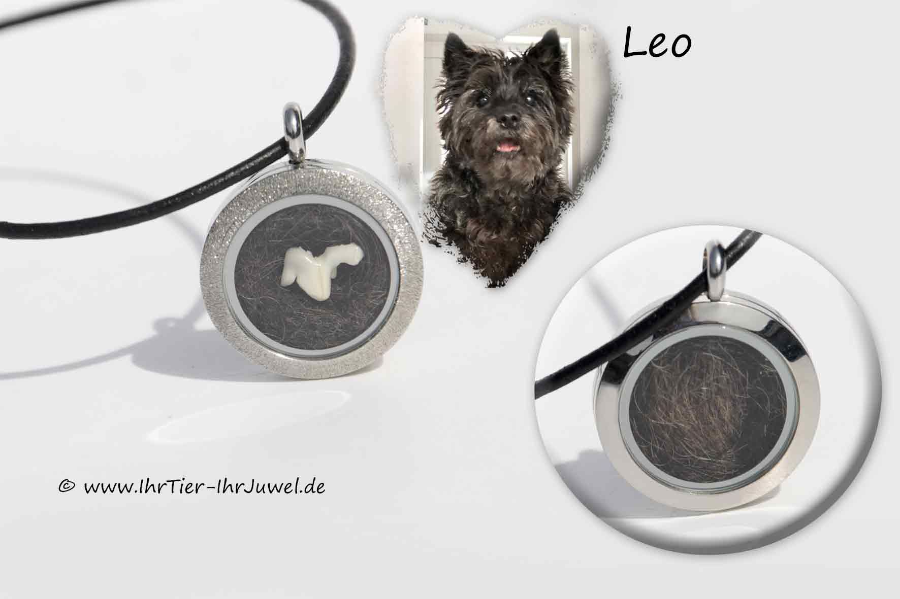 Schmuck aus Hundehaaren Medaillon mit Hundezähnchen