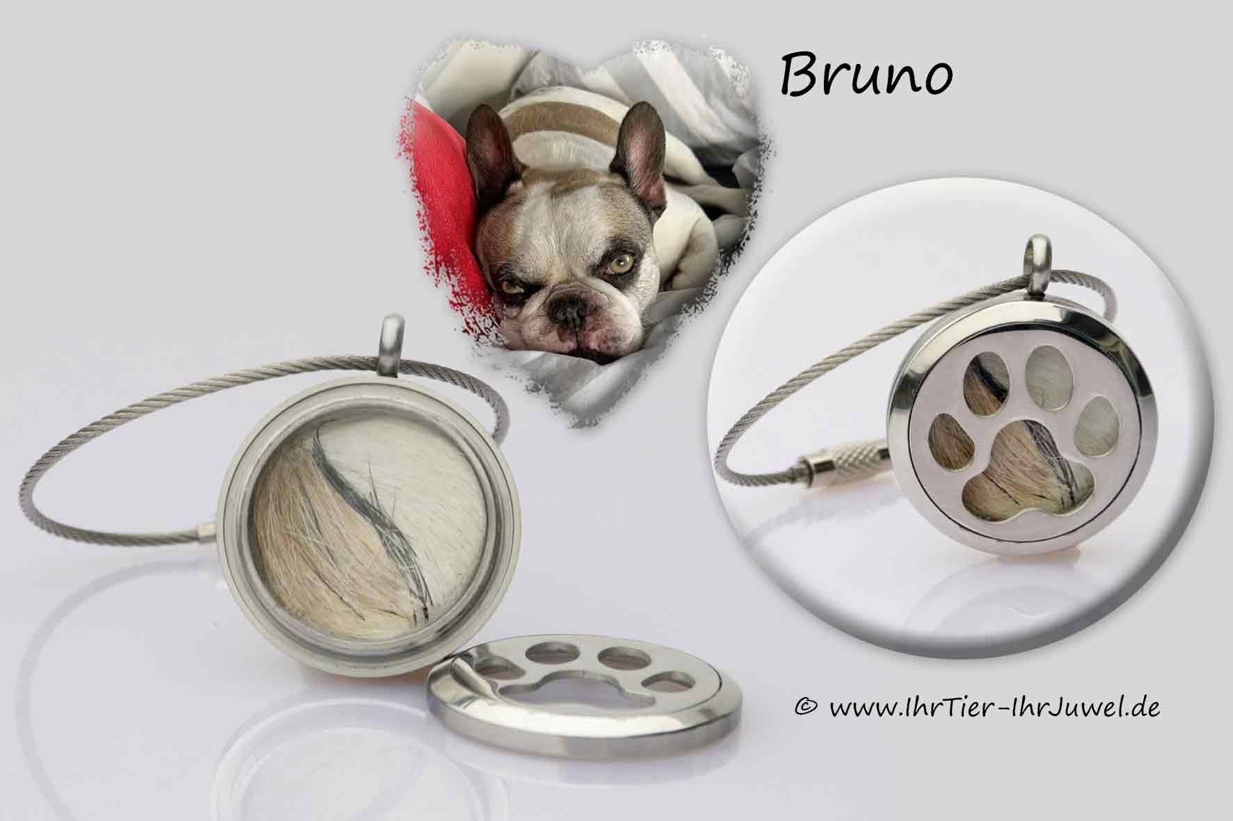 Schmuck aus Hundehaaren Medaillon mit Pfote