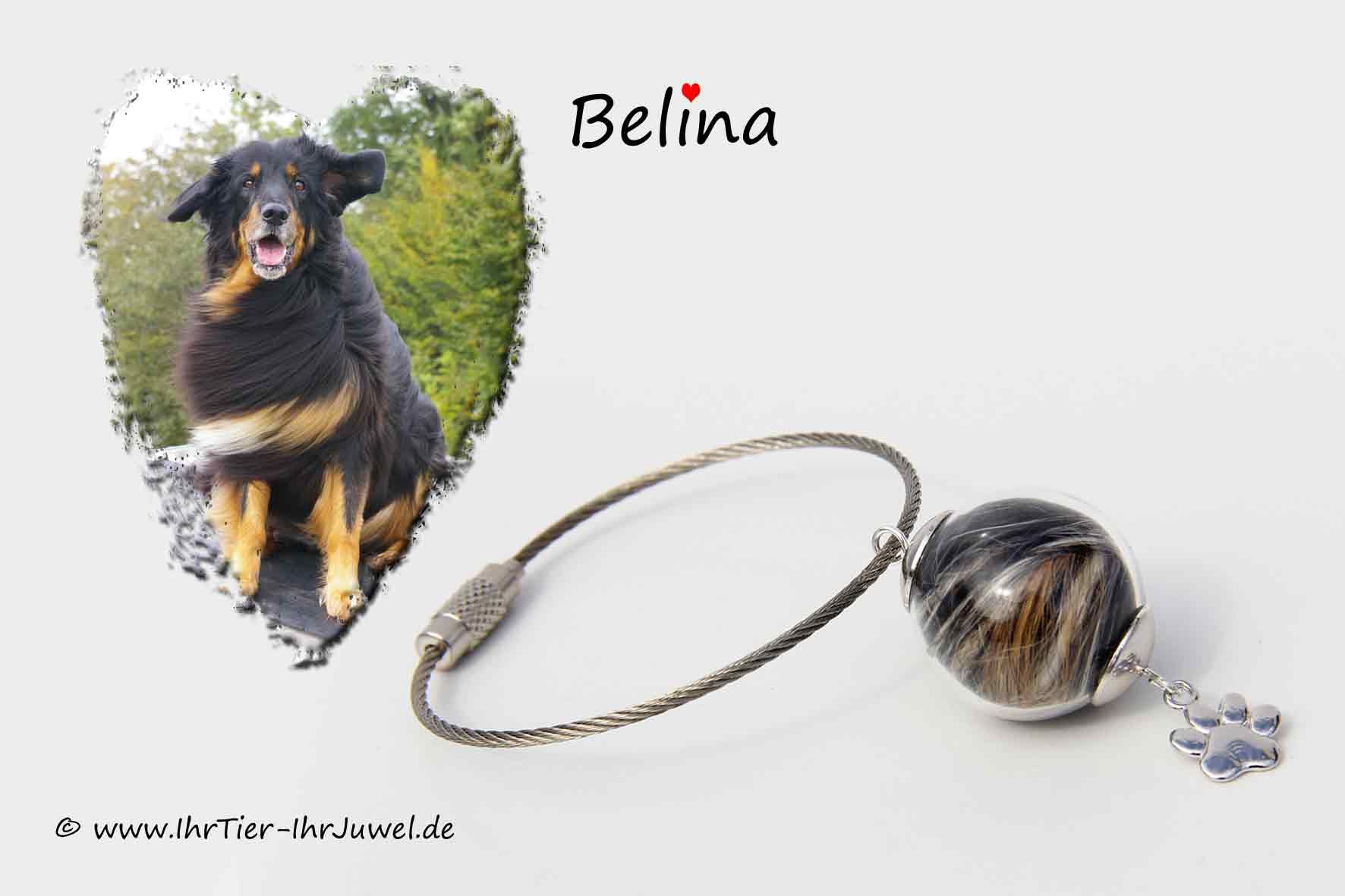 Schmuck aus Hundehaaren Pfotenschmuck Anhänger Hundehaare