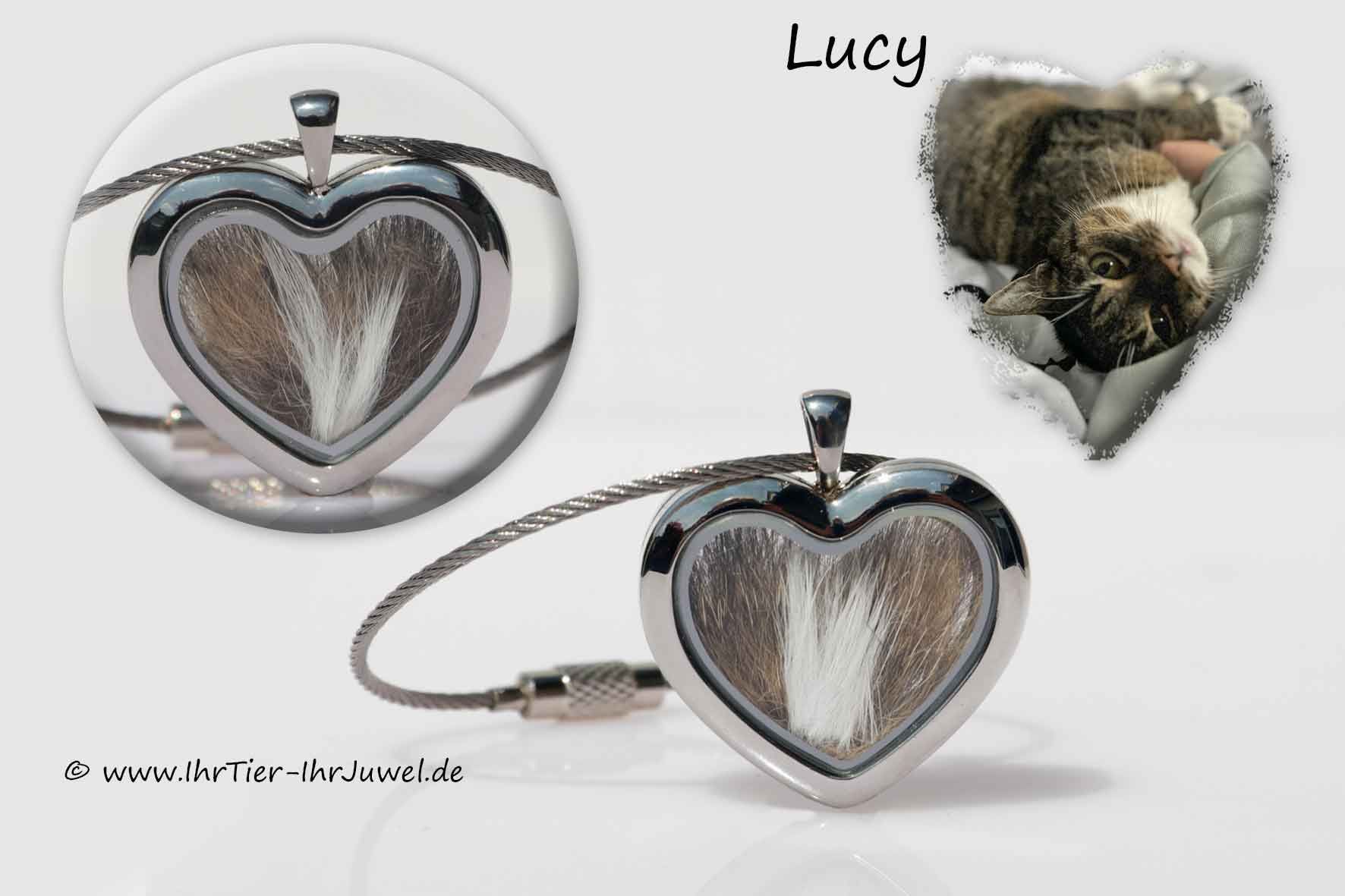 Schmuck aus Katzenhaaren Herzmedaillon geliebte Katze