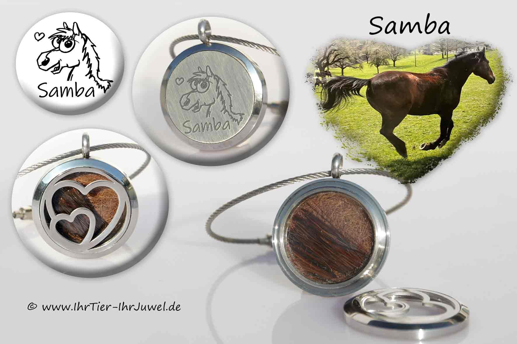 Schmuck aus Pferdehaar Gravurschmuck Medaillon Pferdehaare