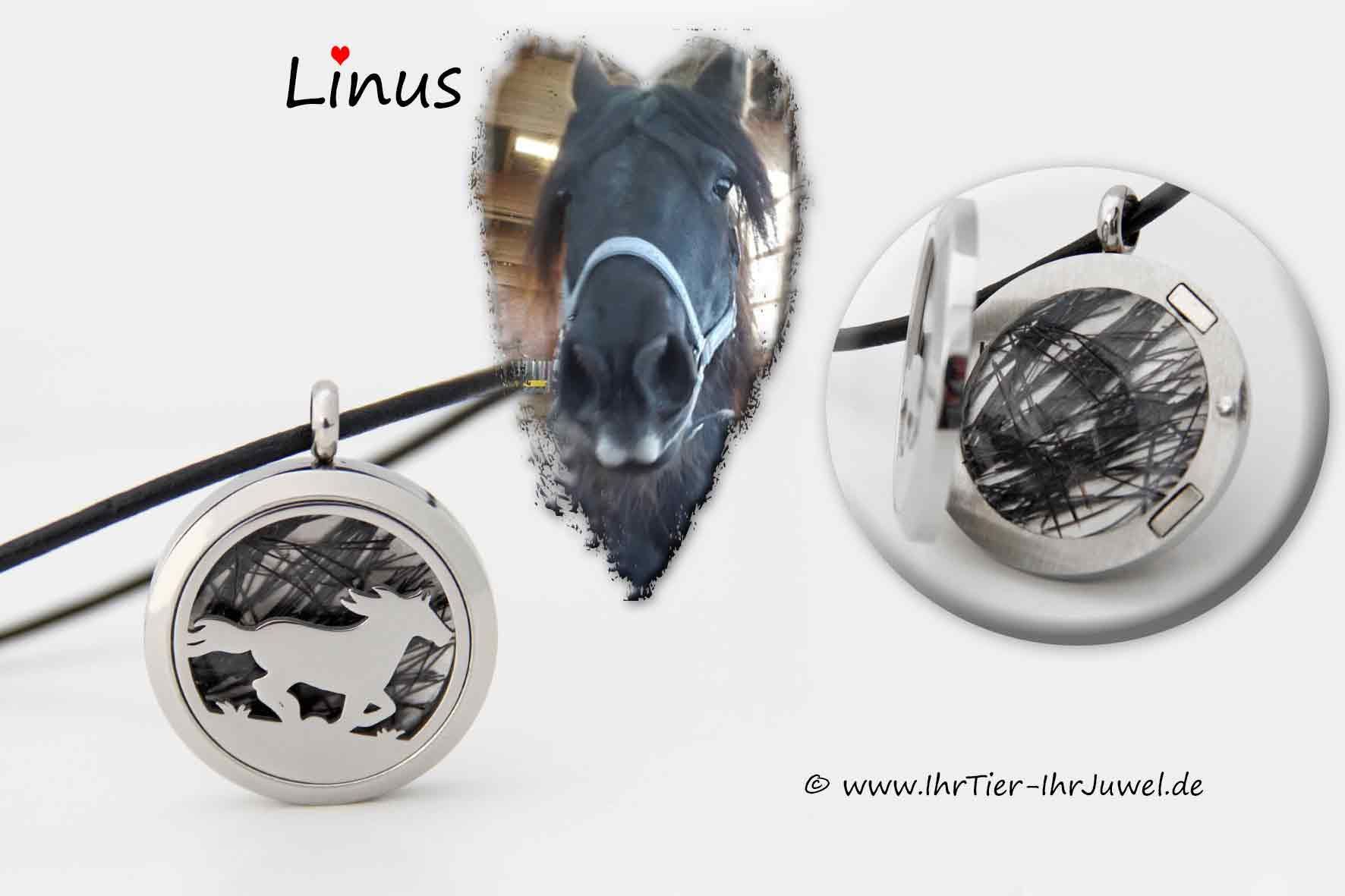 Schmuck aus Pferdehaar Medaillon Pferdemotiv Pferdehaarschmuck